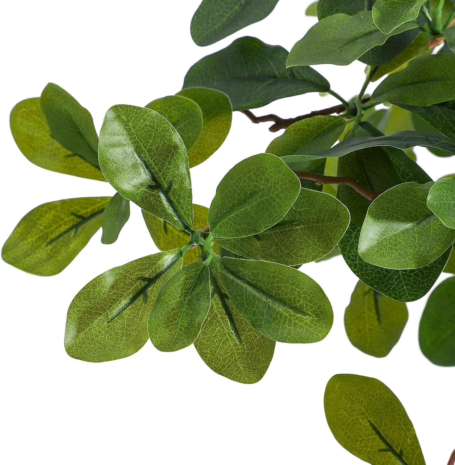 Artificial Plants Indoor, 5/6  - огляд і ціна Home Office Layout