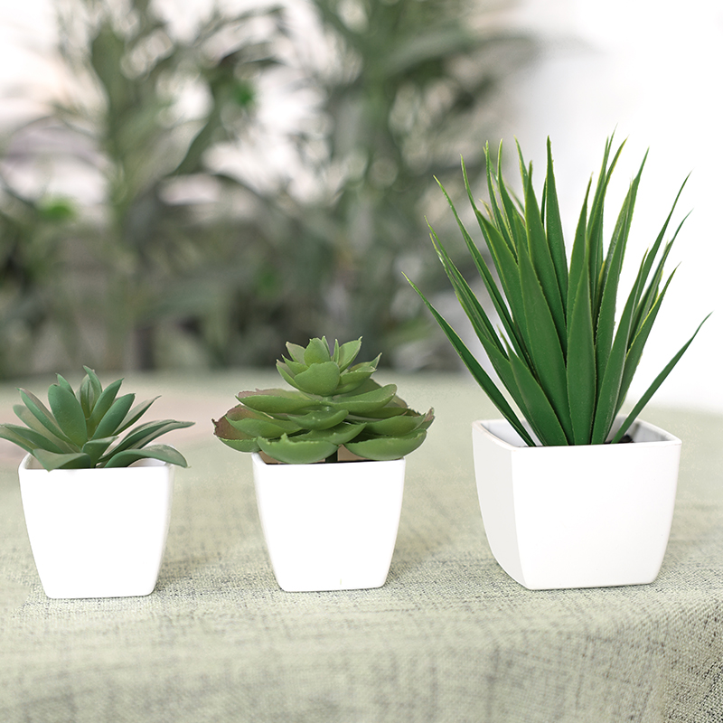 3PCS Artificial Evergreen Plan - огляд і ціна Home Office Layout