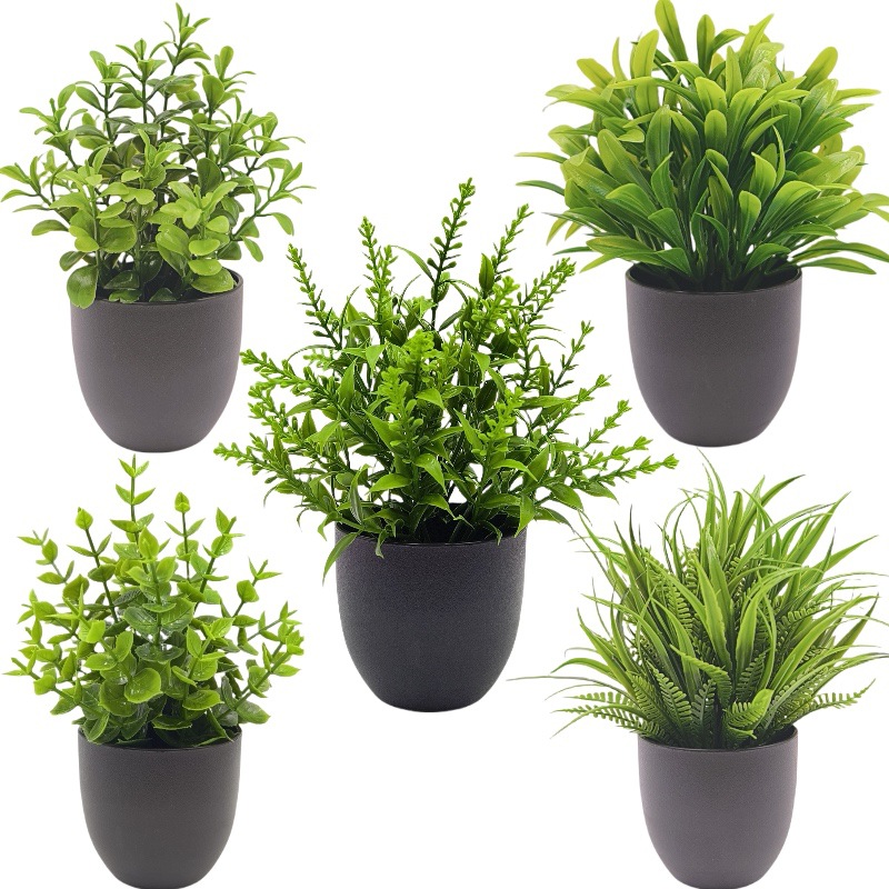 Simulation Green Plant Bonsai  - огляд і ціна Home Office Simulator