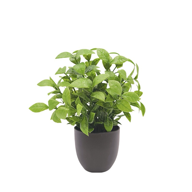 Simulation Green Plant Bonsai  - огляд і ціна Home Office Simulator